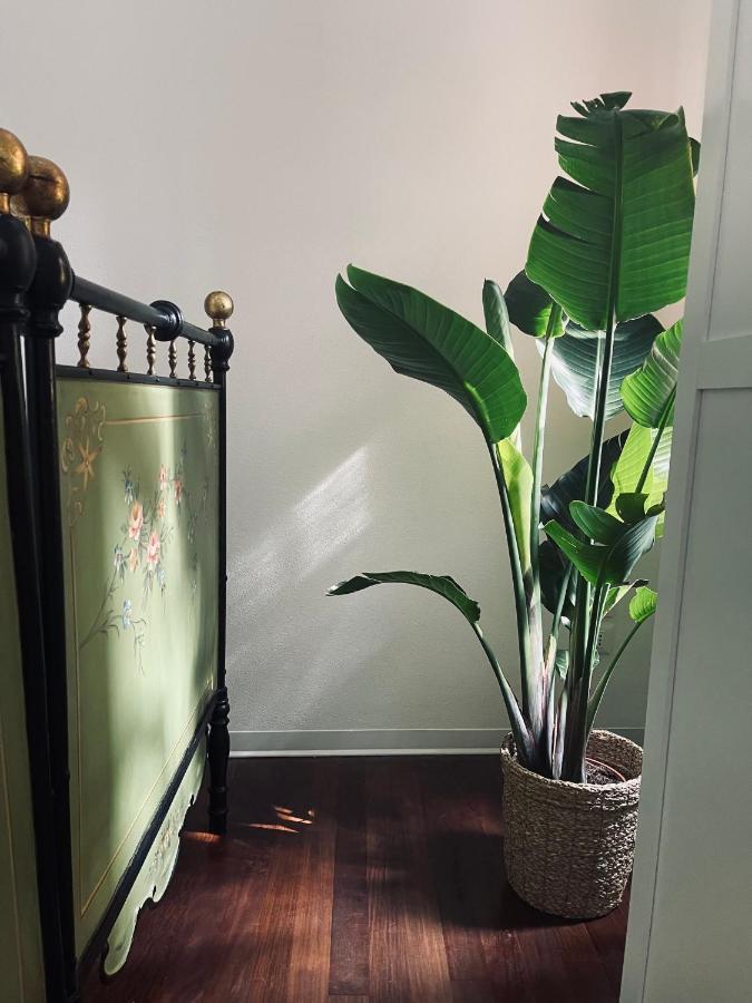 Apartmán Casatua Treviso Exteriér fotografie